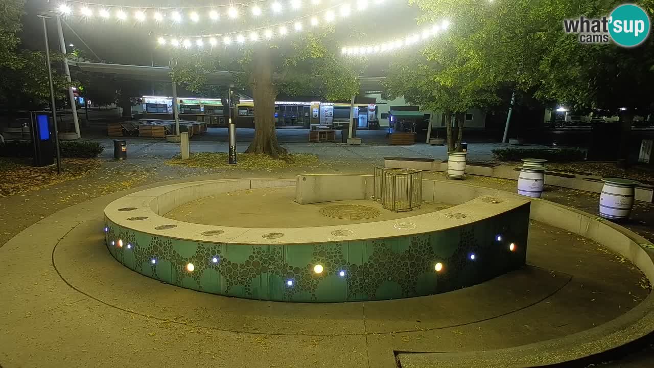 Fontana di birra Webcam – Oro verde – Žalec