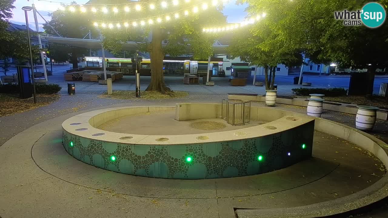 Fontaine à bière LIVE webcam – Or vert – Žalec