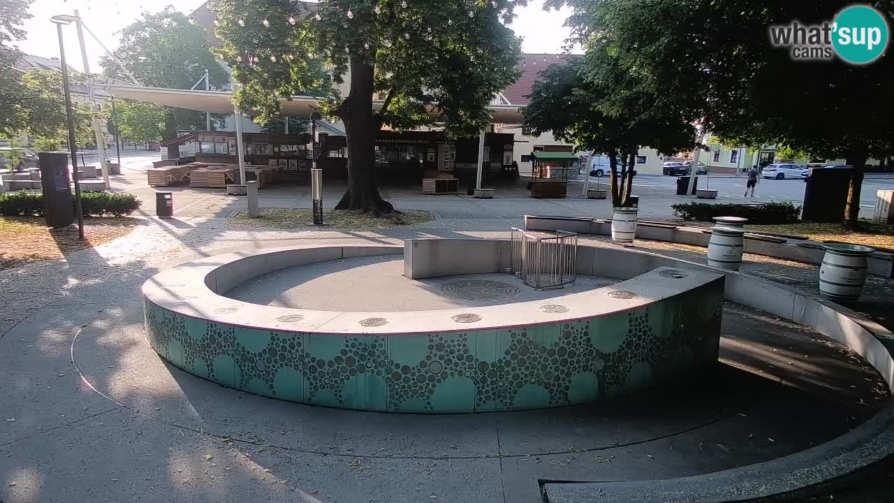 Spletna kamera Fontana Piv – Zeleno zlato Žalec