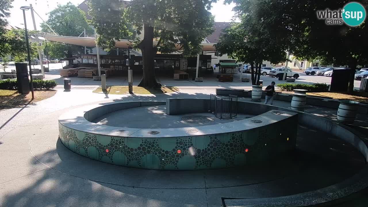 Spletna kamera Fontana Piv – Zeleno zlato Žalec