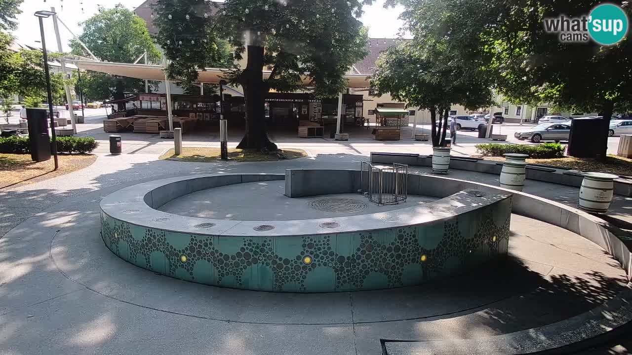 Spletna kamera Fontana Piv – Zeleno zlato Žalec