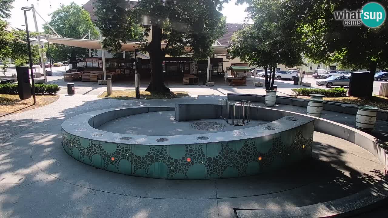 Spletna kamera Fontana Piv – Zeleno zlato Žalec