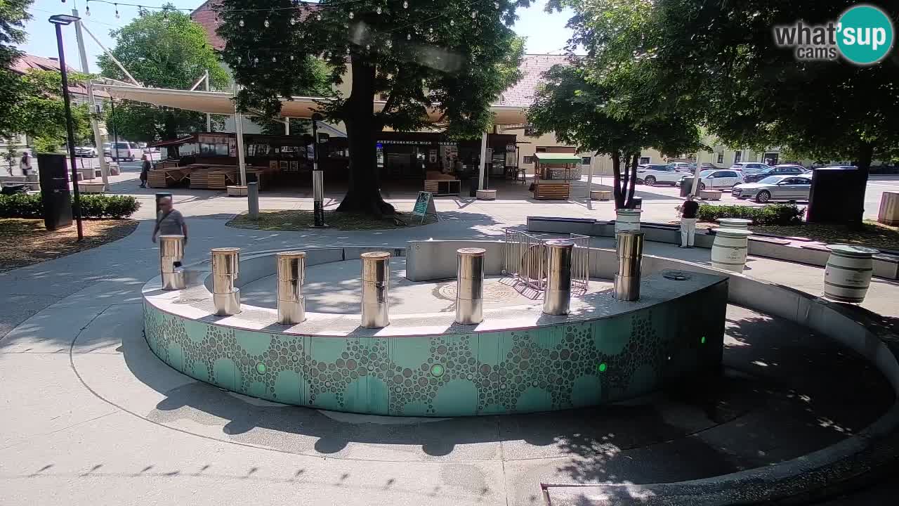 Spletna kamera Fontana Piv – Zeleno zlato Žalec