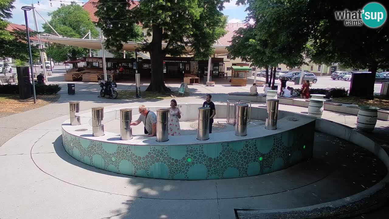 Web kamera Fontana piva – Zeleno zlato – Žalec