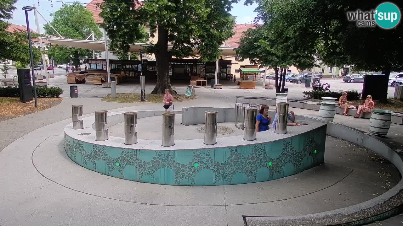 Web kamera Fontana piva – Zeleno zlato – Žalec