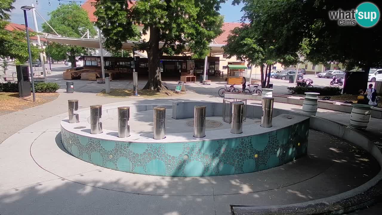 Web kamera Fontana piva – Zeleno zlato – Žalec