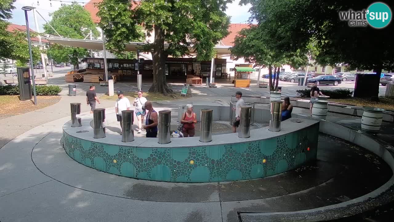 Bier-Springbrunnen Webcam Žalec – Grünen Goldes