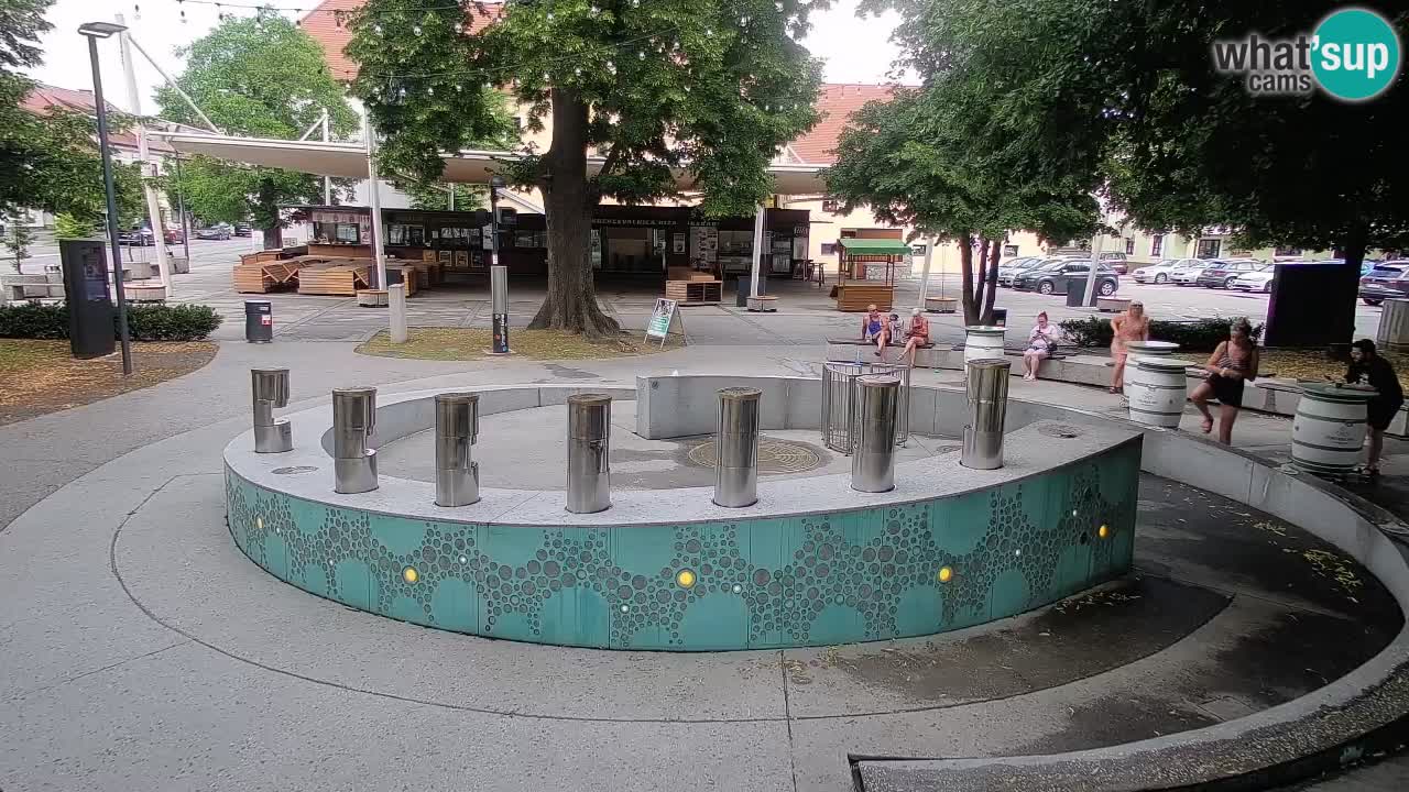 Web kamera Fontana piva – Zeleno zlato – Žalec