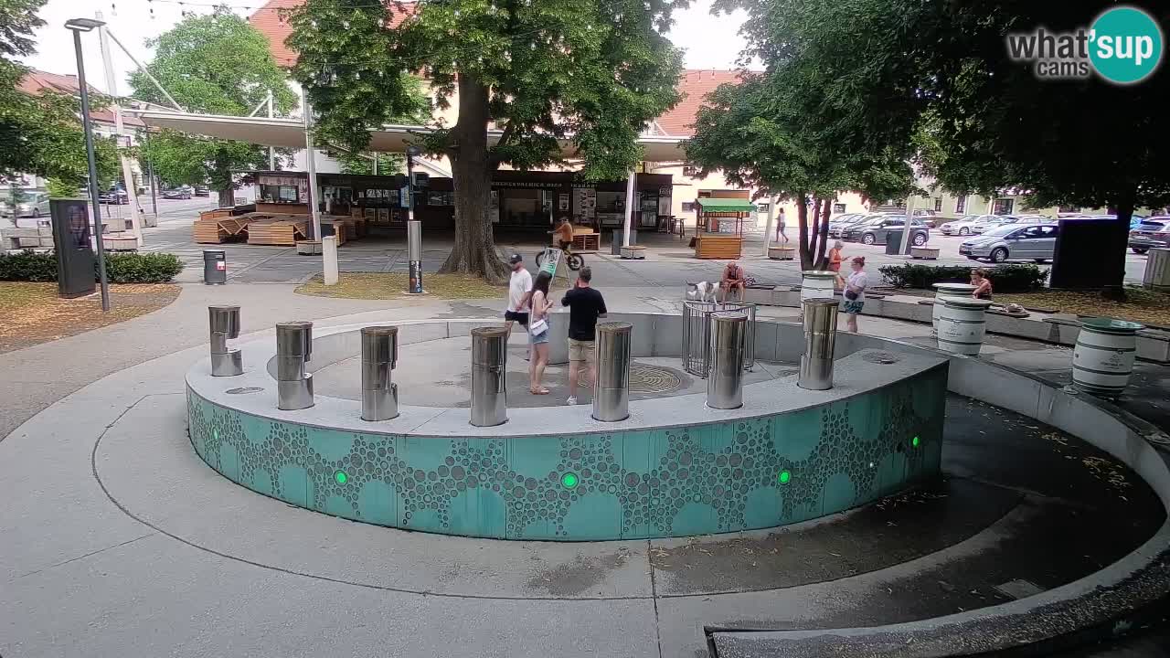 Fontaine à bière LIVE webcam – Or vert – Žalec