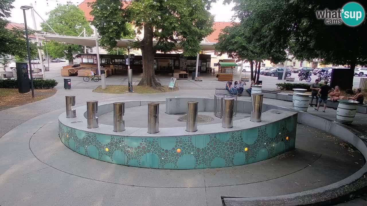Bier-Springbrunnen Webcam Žalec – Grünen Goldes