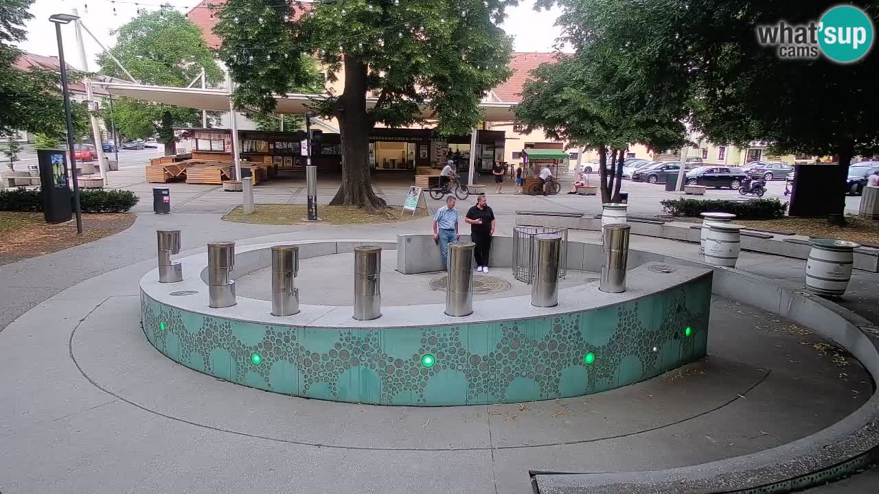 Bier-Springbrunnen Webcam Žalec – Grünen Goldes