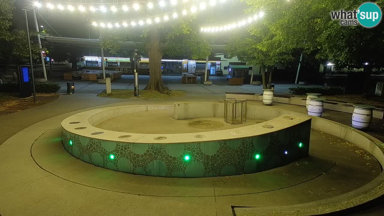 Camera en vivo Fuente de cerveza – Oro verde – Žalec