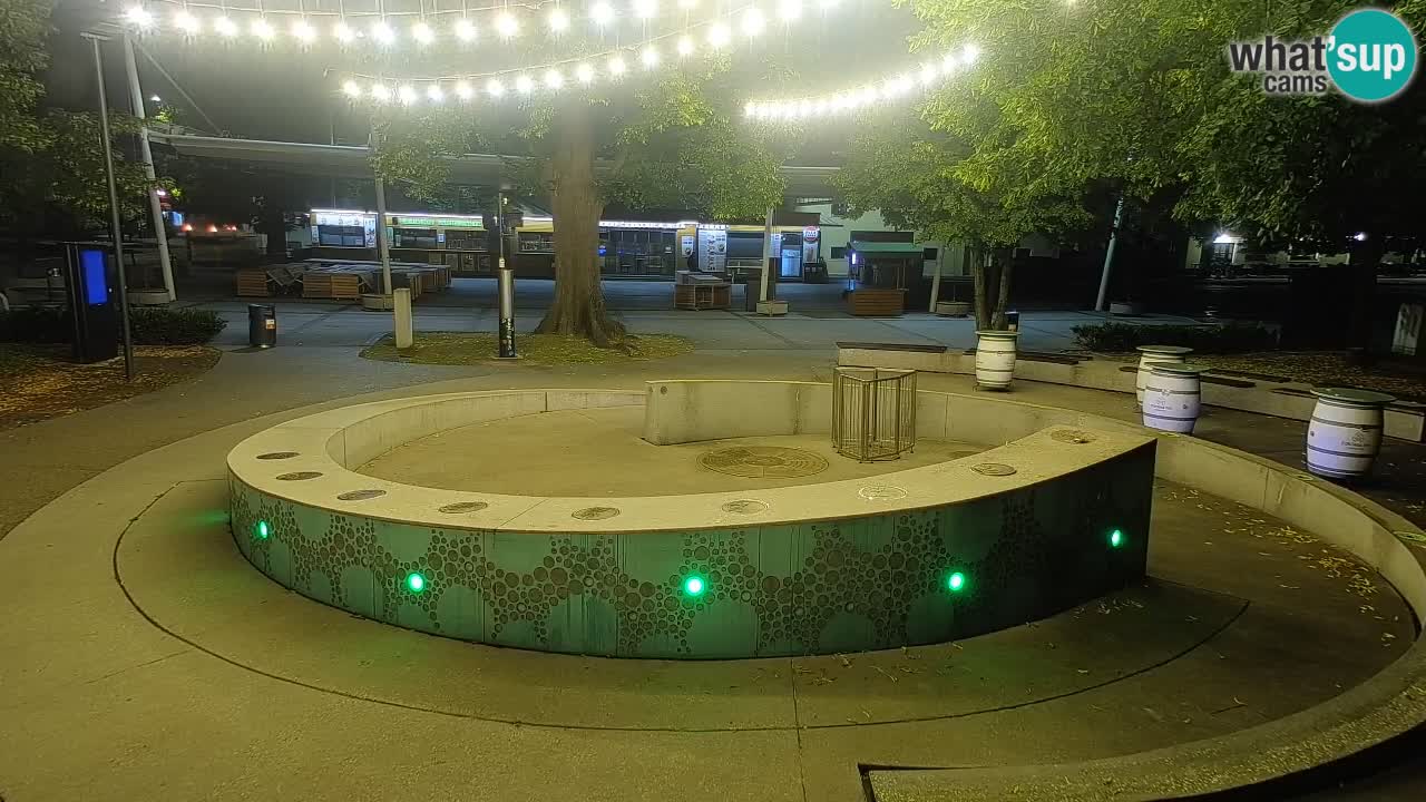 Spletna kamera Fontana Piv – Zeleno zlato Žalec