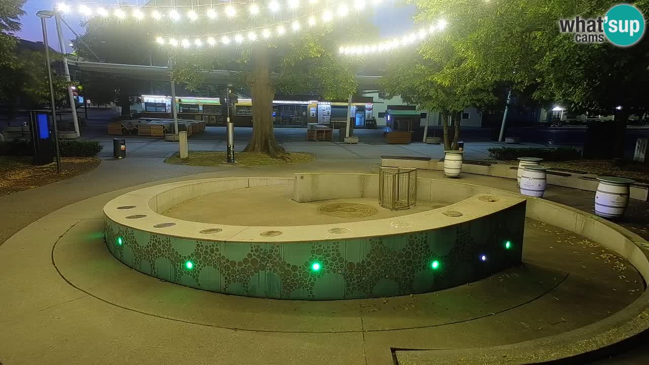 Spletna kamera Fontana Piv – Zeleno zlato Žalec