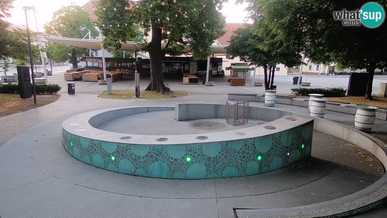 Camera en vivo Fuente de cerveza – Oro verde – Žalec