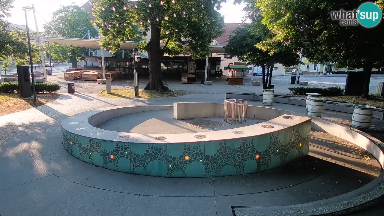 Spletna kamera Fontana Piv – Zeleno zlato Žalec
