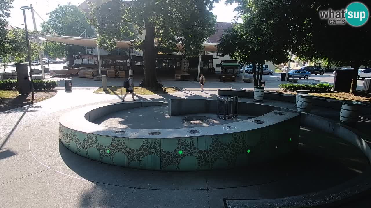 Bier-Springbrunnen Webcam Žalec – Grünen Goldes