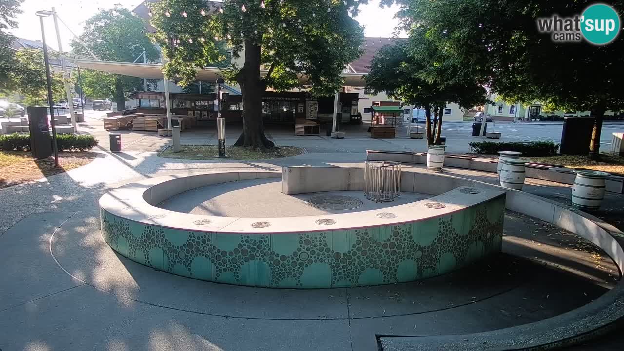 Fontaine à bière LIVE webcam – Or vert – Žalec