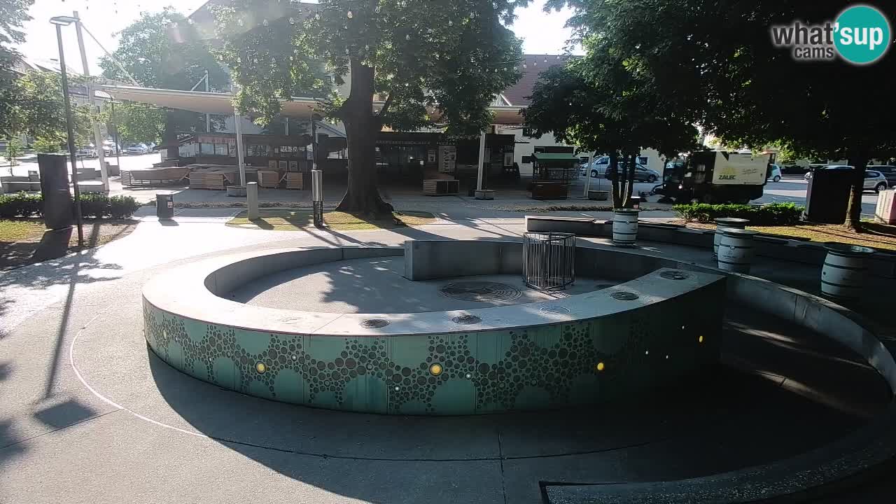 Camera en vivo Fuente de cerveza – Oro verde – Žalec