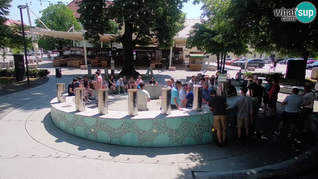 Spletna kamera Fontana Piv – Zeleno zlato Žalec