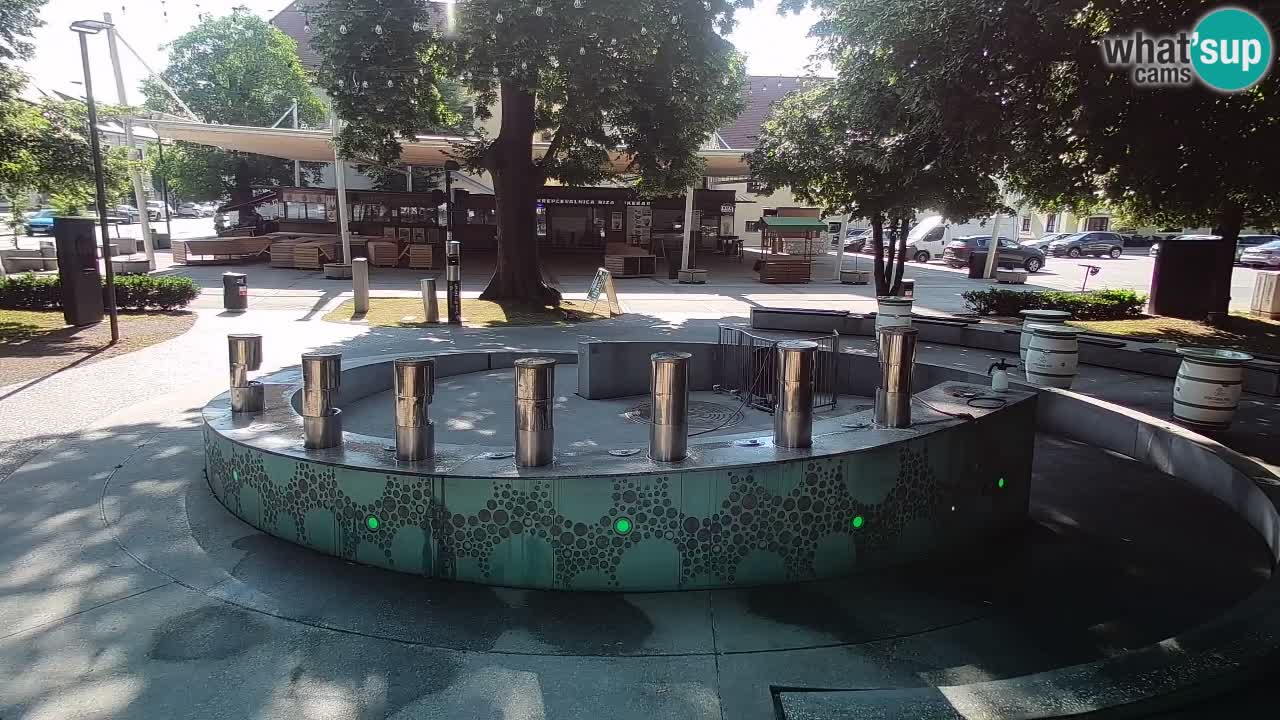 Fontaine à bière LIVE webcam – Or vert – Žalec