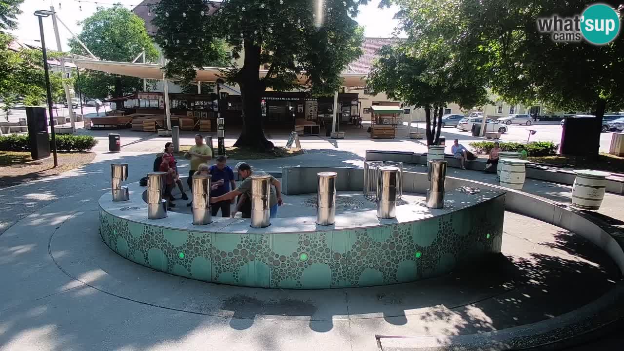 Bier-Springbrunnen Webcam Žalec – Grünen Goldes