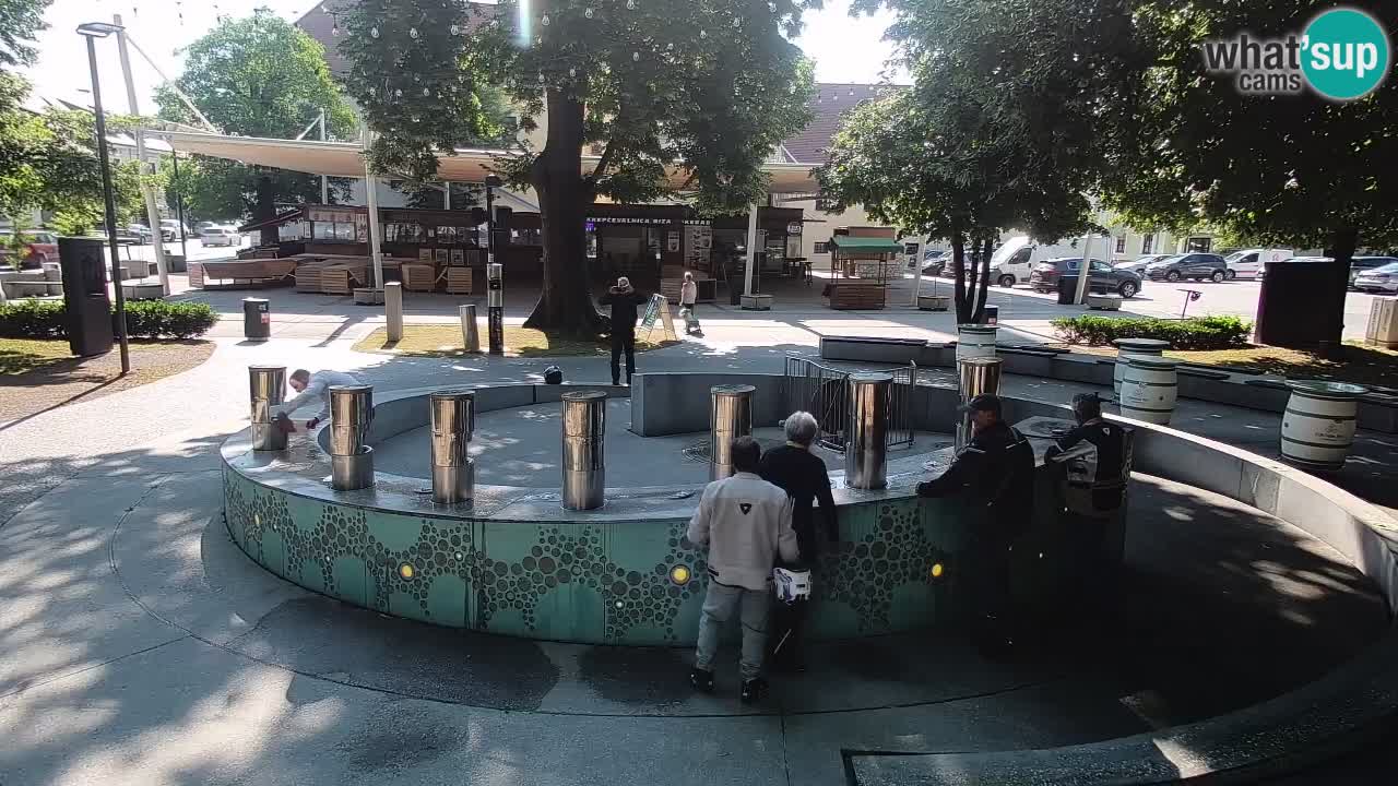 Web kamera Fontana piva – Zeleno zlato – Žalec
