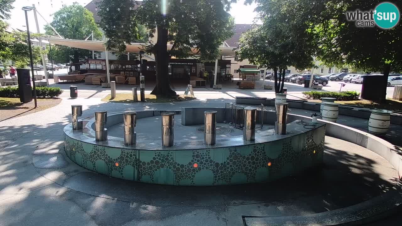 Fontana di birra Webcam – Oro verde – Žalec