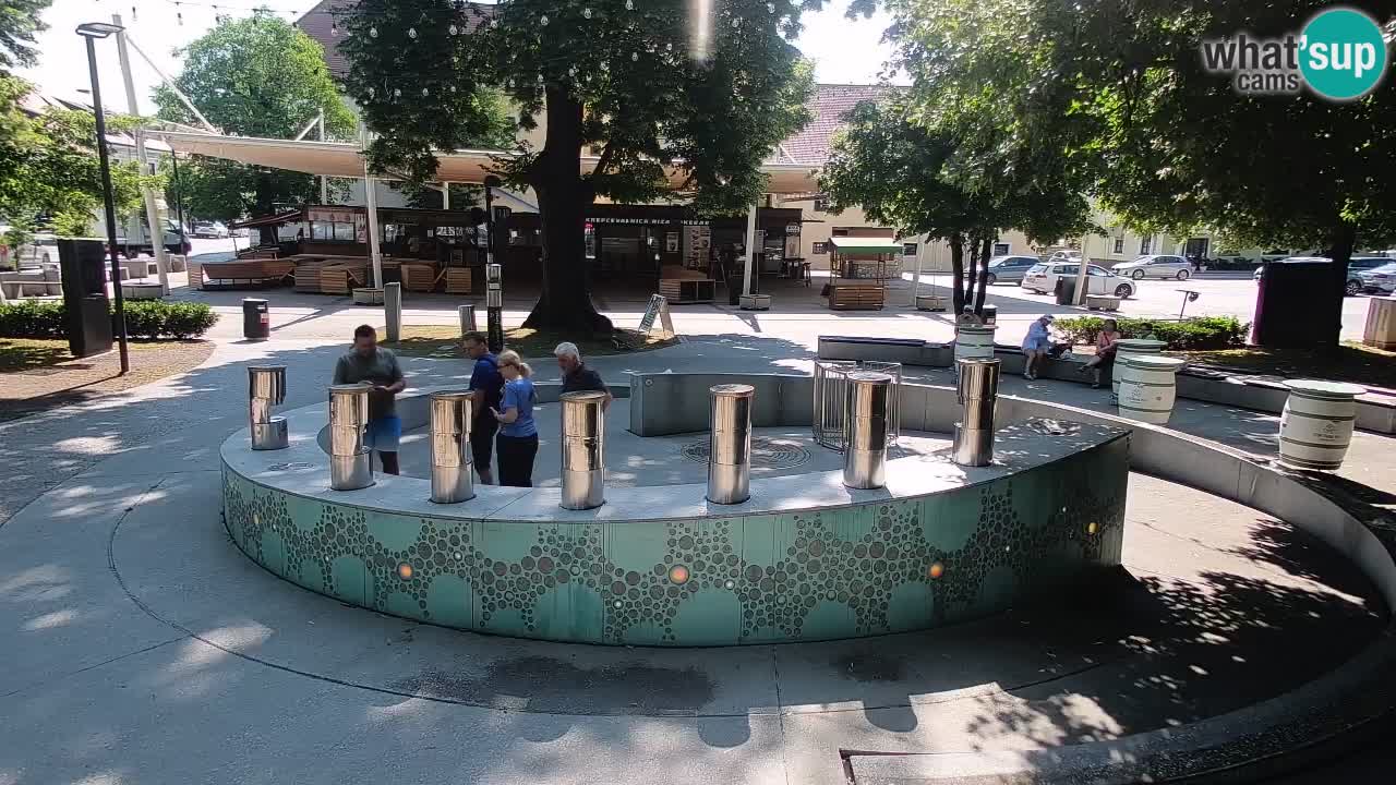 Fontaine à bière LIVE webcam – Or vert – Žalec