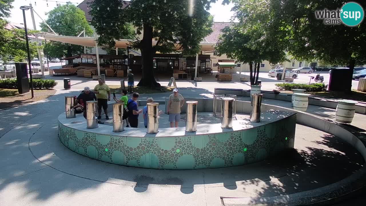 Spletna kamera Fontana Piv – Zeleno zlato Žalec