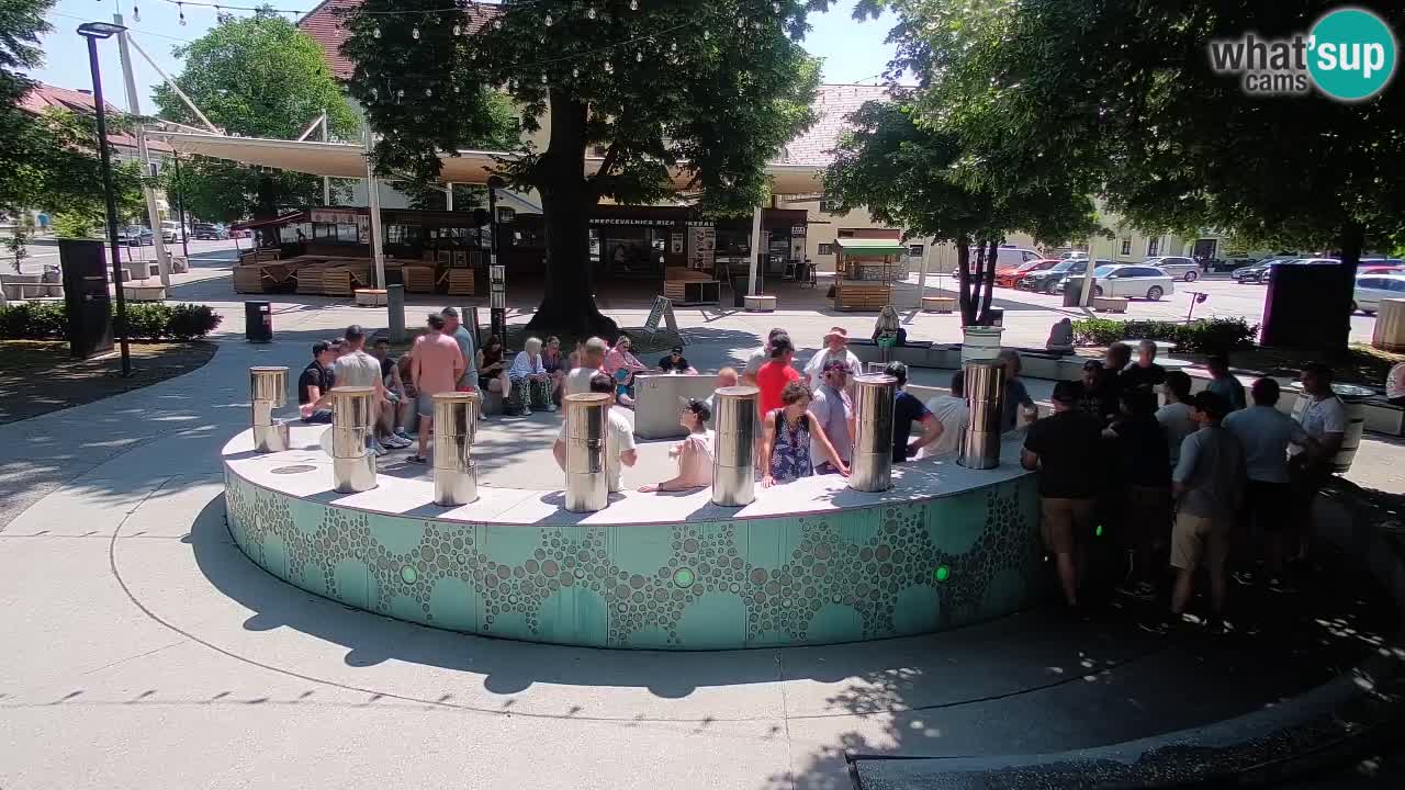 Web kamera Fontana piva – Zeleno zlato – Žalec
