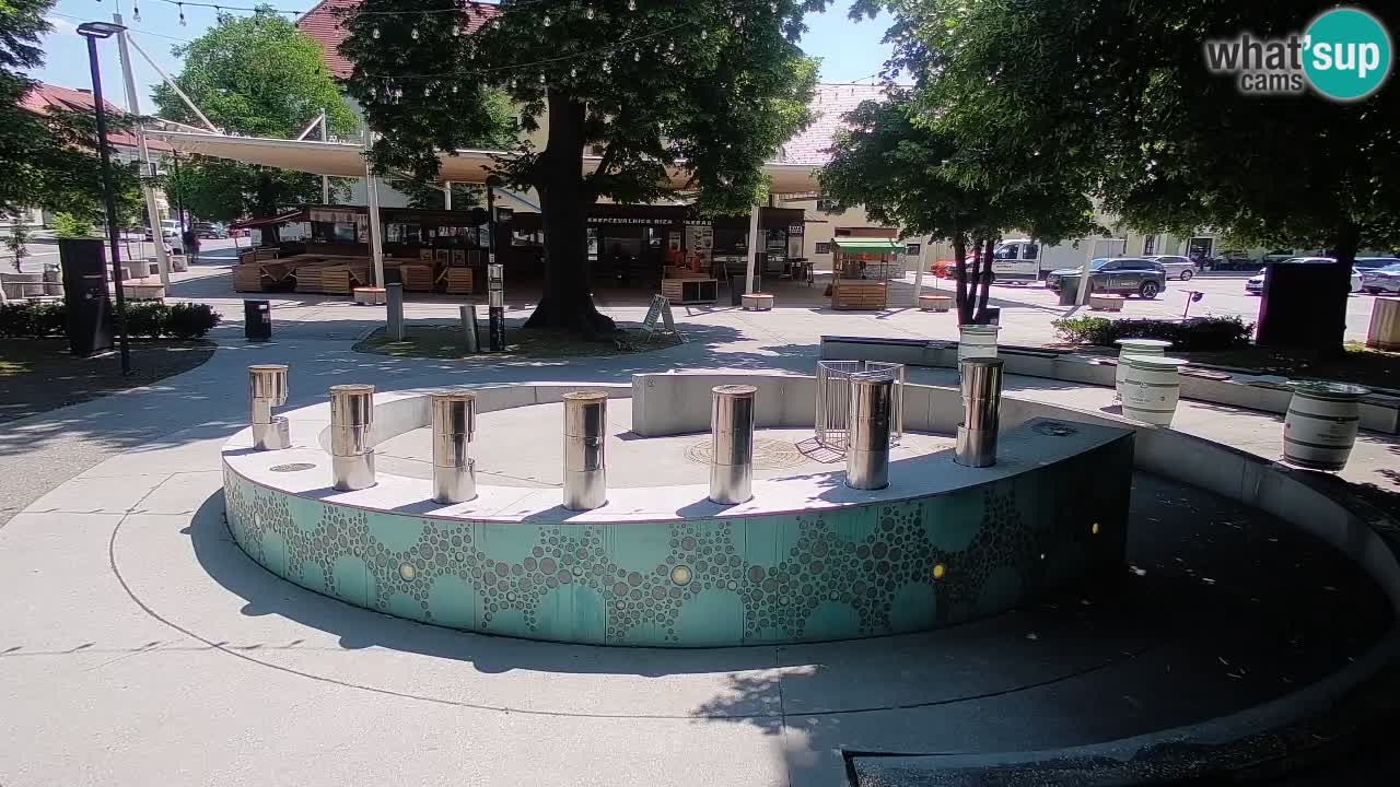 Web kamera Fontana piva – Zeleno zlato – Žalec