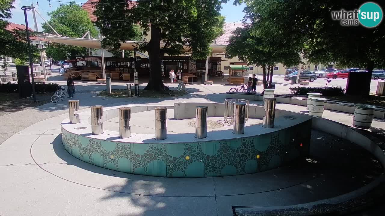Web kamera Fontana piva – Zeleno zlato – Žalec