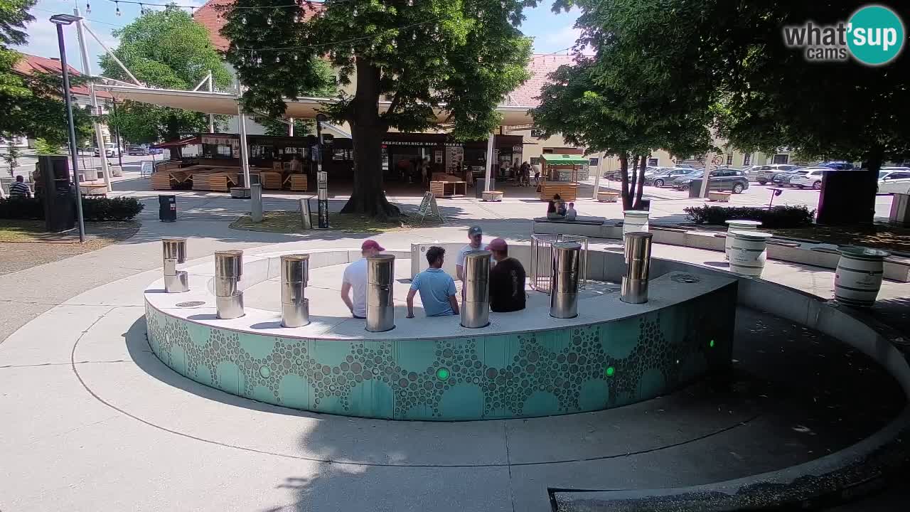 Fontaine à bière LIVE webcam – Or vert – Žalec