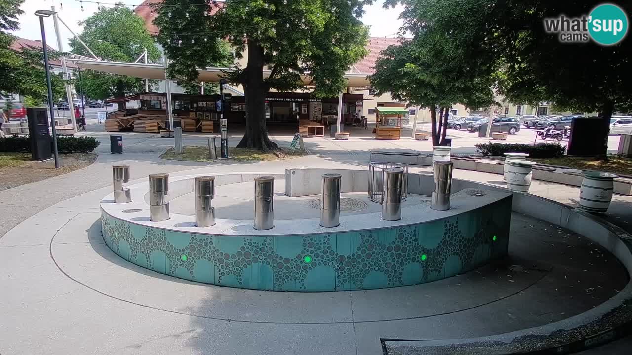 Fontaine à bière LIVE webcam – Or vert – Žalec