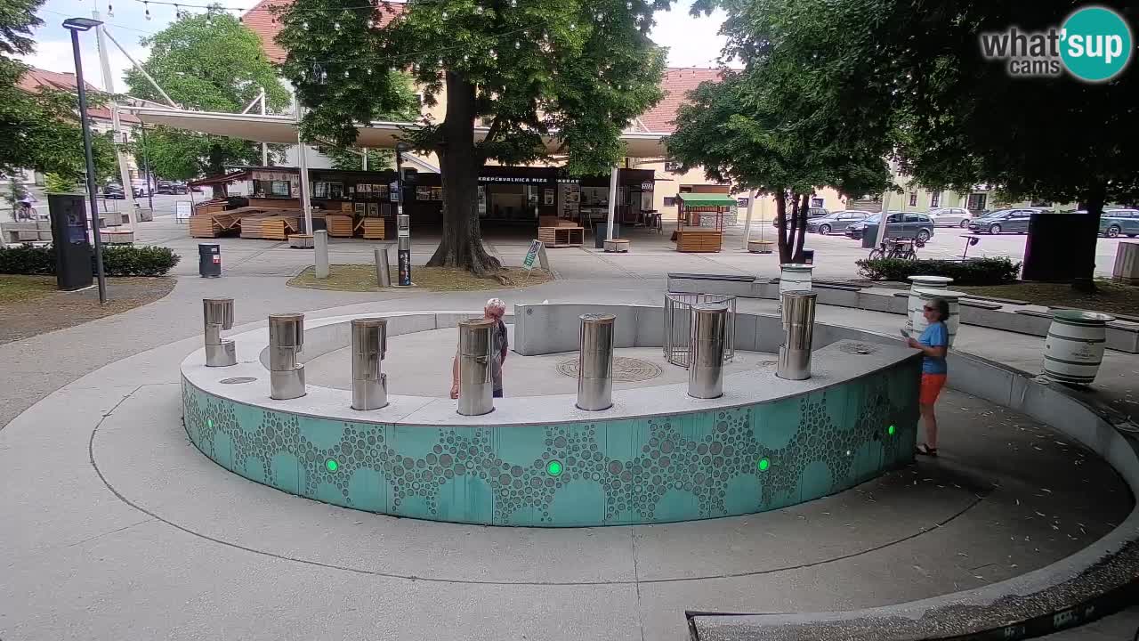 Fontaine à bière LIVE webcam – Or vert – Žalec