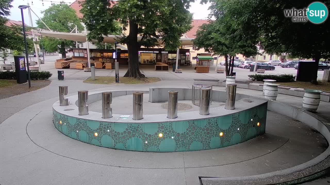 LIVEcam Beer fountain – Green Gold – Žalec – Slovenia