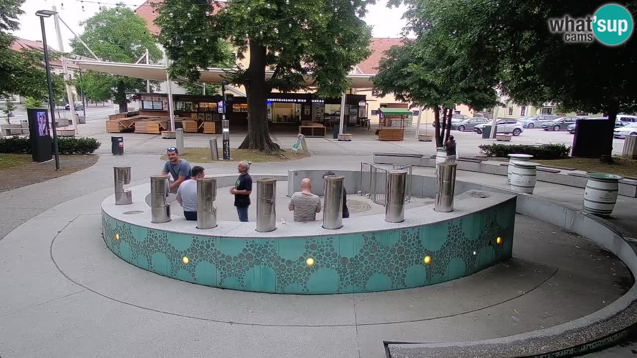 Fontaine à bière LIVE webcam – Or vert – Žalec