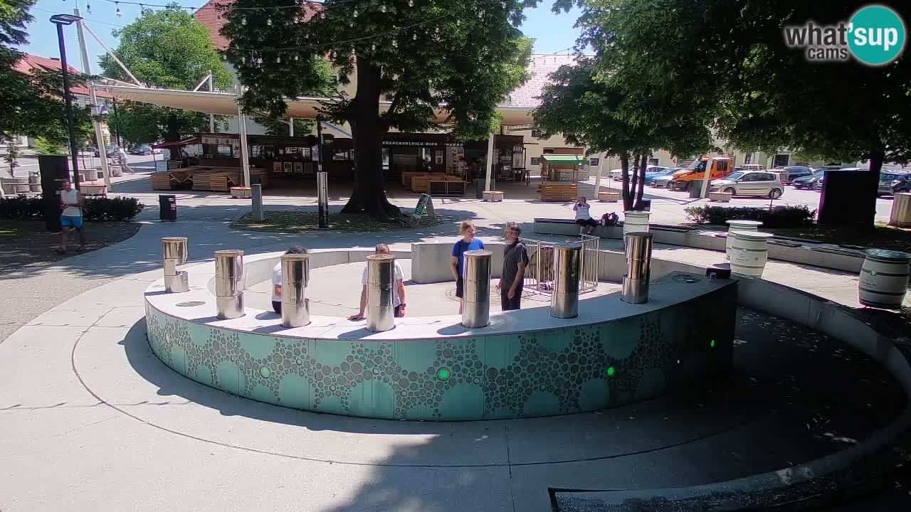 Fontaine à bière LIVE webcam – Or vert – Žalec
