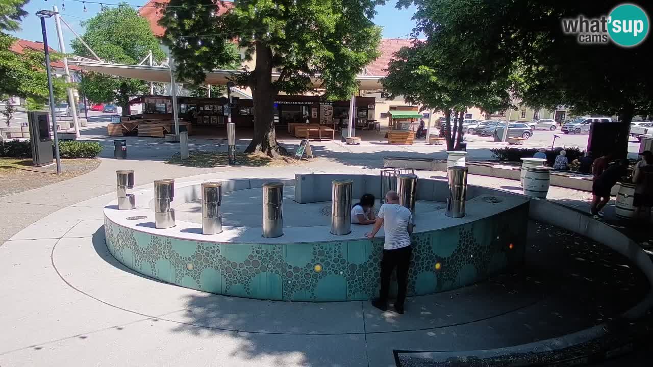 Fontaine à bière LIVE webcam – Or vert – Žalec