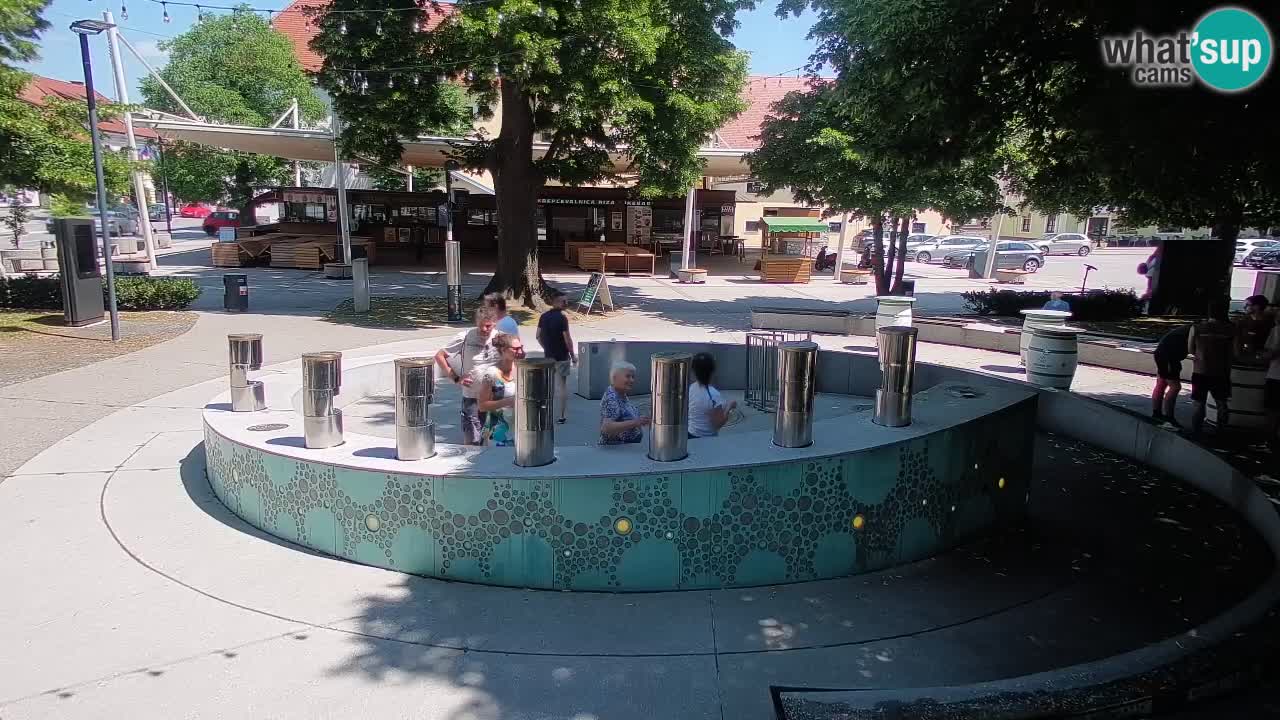 Bier-Springbrunnen Webcam Žalec – Grünen Goldes