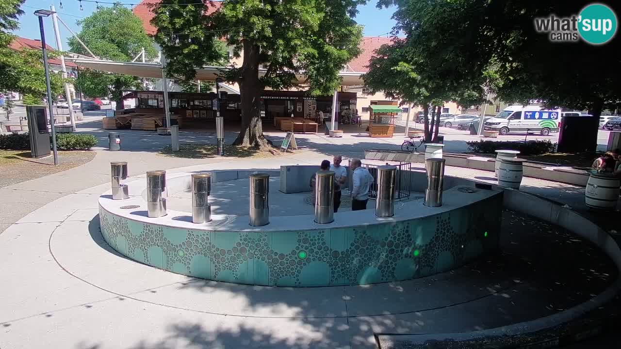 Fontaine à bière LIVE webcam – Or vert – Žalec