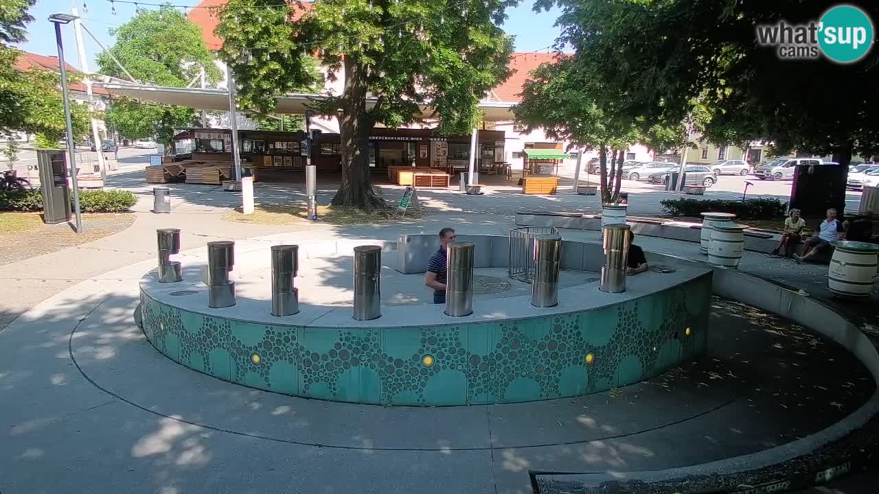 Web kamera Fontana piva – Zeleno zlato – Žalec