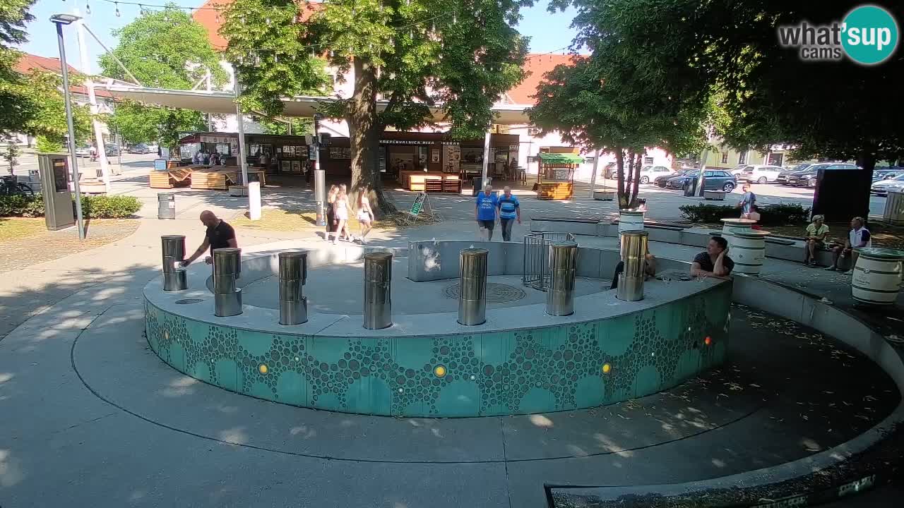 Web kamera Fontana piva – Zeleno zlato – Žalec