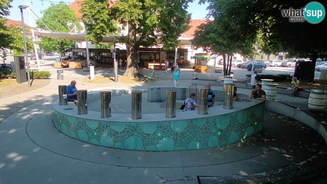 Web kamera Fontana piva – Zeleno zlato – Žalec