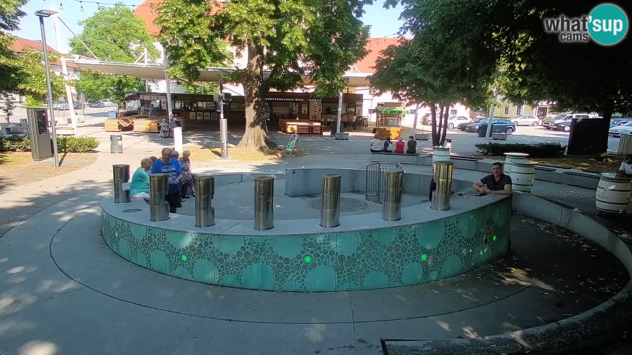 Fontana di birra Webcam – Oro verde – Žalec