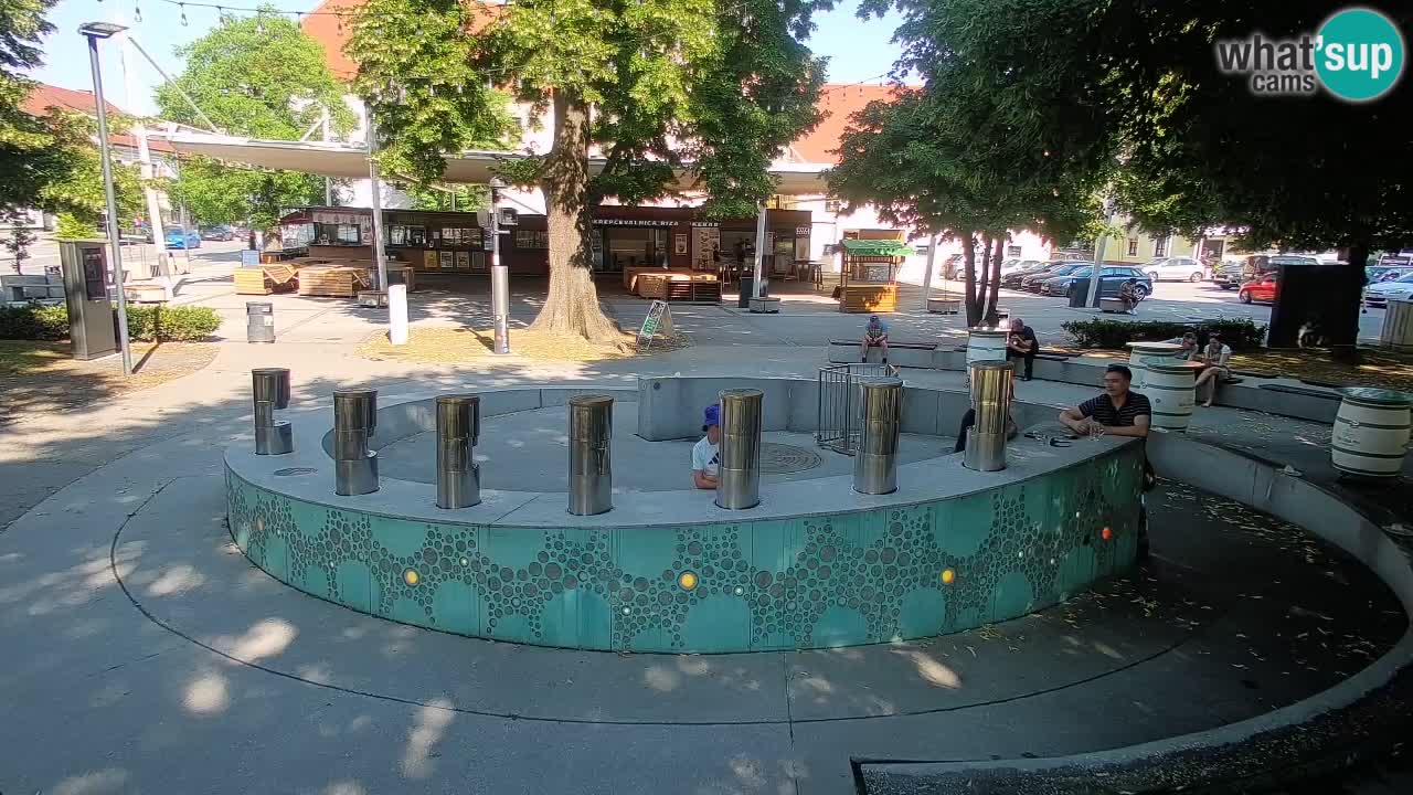 Web kamera Fontana piva – Zeleno zlato – Žalec