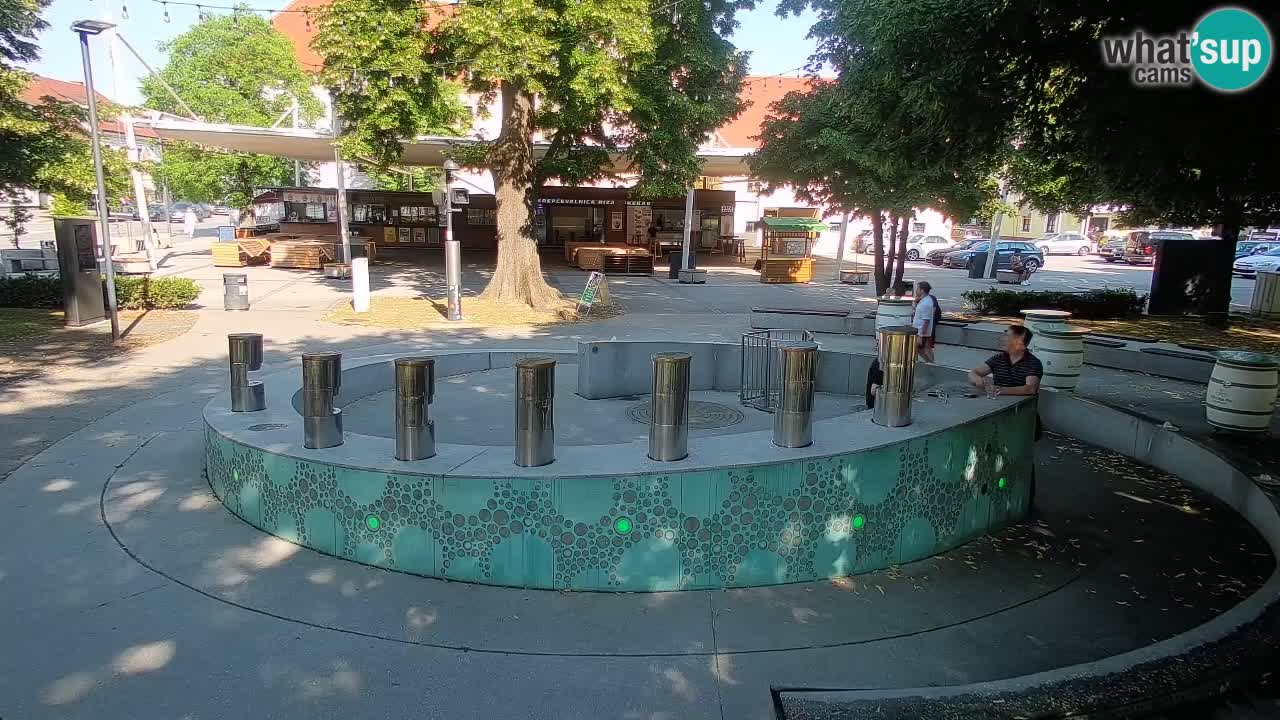 Fontaine à bière LIVE webcam – Or vert – Žalec