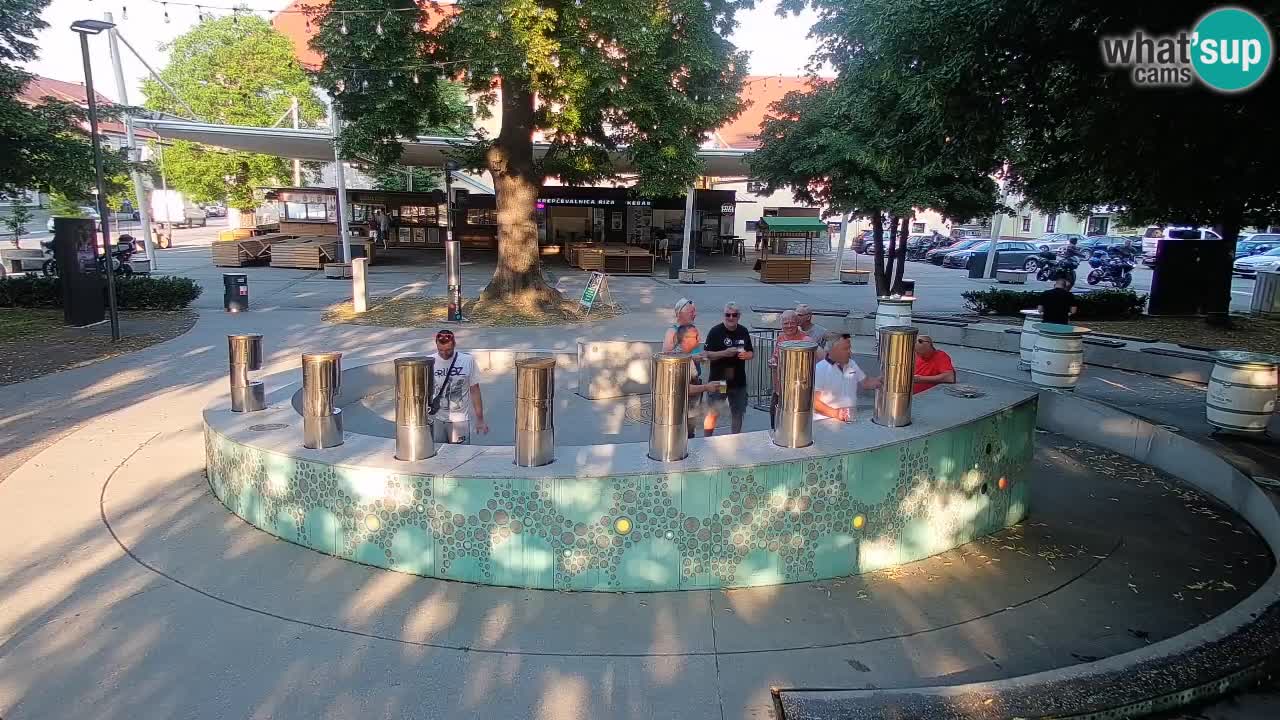 Web kamera Fontana piva – Zeleno zlato – Žalec