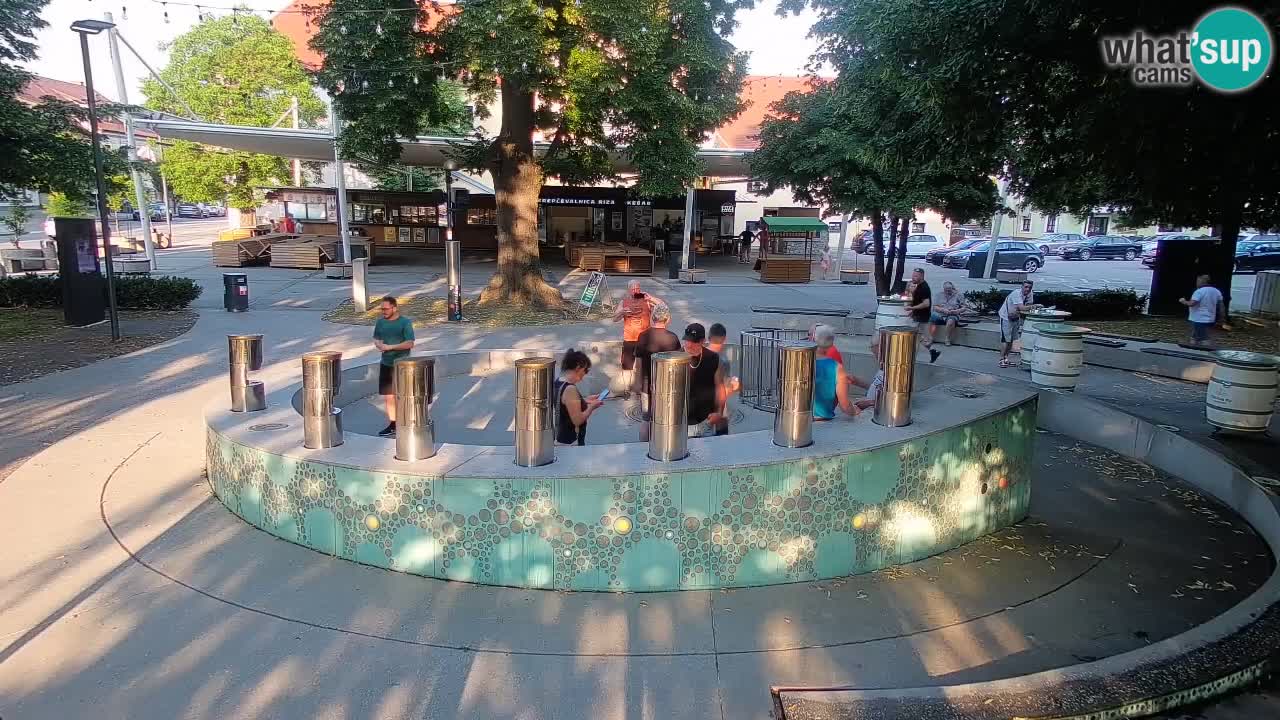 Camera en vivo Fuente de cerveza – Oro verde – Žalec